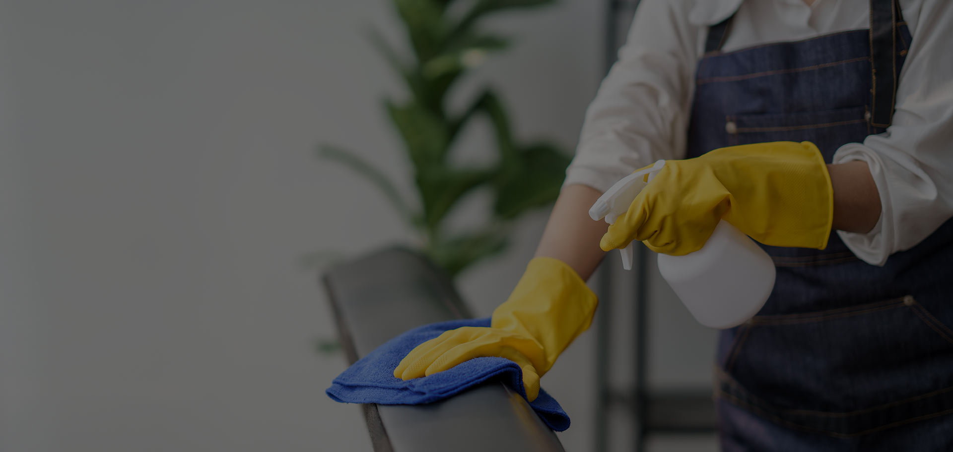 Top & Shine Cleaning