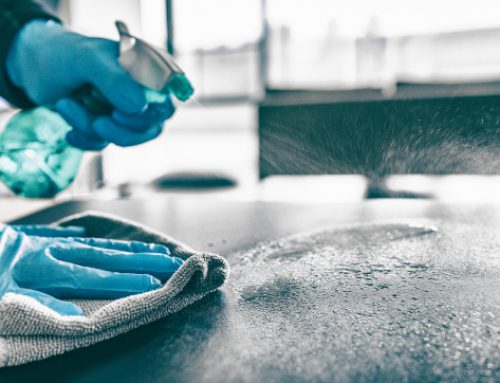 How to Deep Clean Kitchen Appliances: Inside and Out Guide